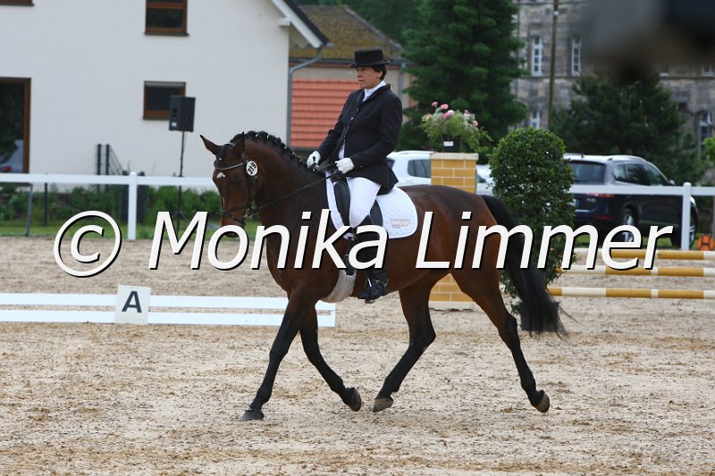 006M3259_Dressur L.JPG